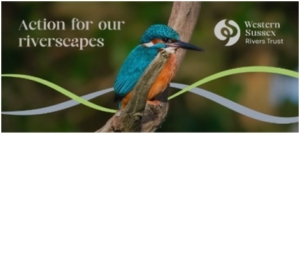 A kingfisher perched on a branch with "Action for our riverscapes" and Western Sussex Rivers Trust logo.